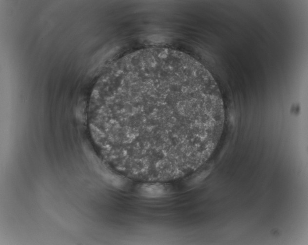 X0000112110181200909151233