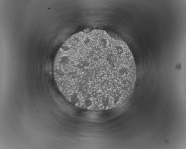 X0000112110182200909151233