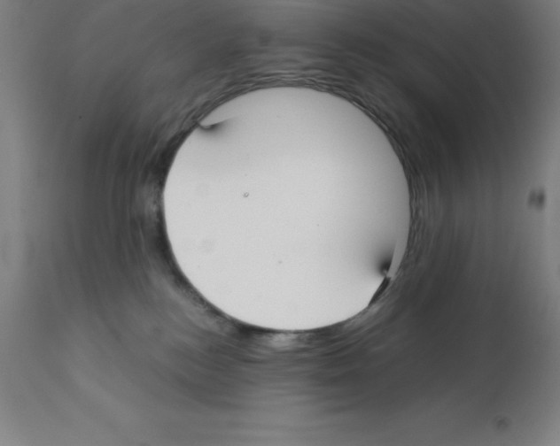X0000112110184200909151233