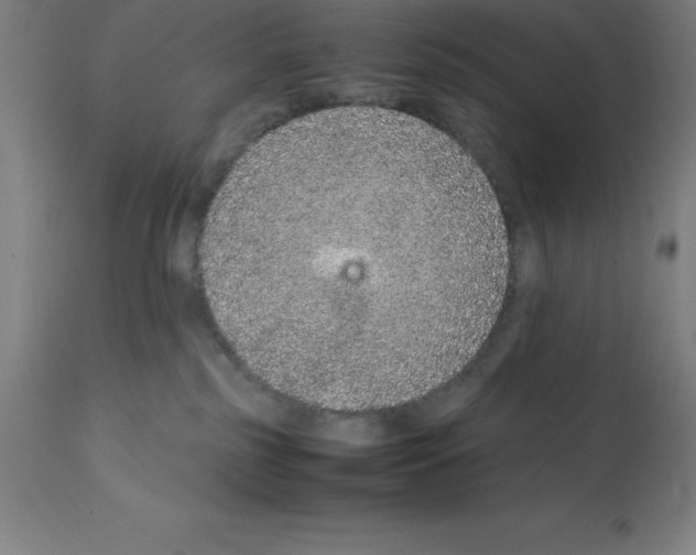 X0000112110185200909151233