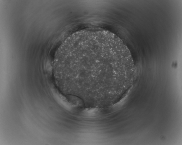 X0000112110186200909151233