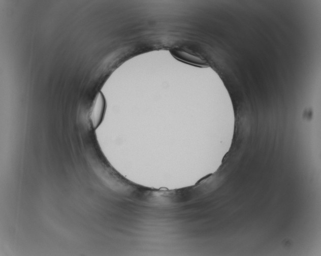 X0000112110188200909151233