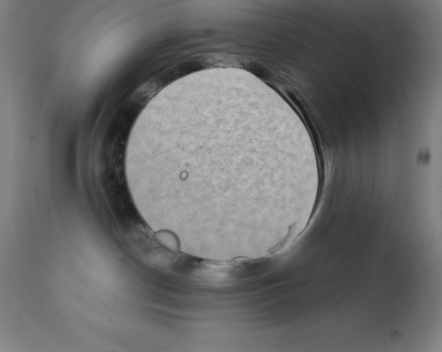 X0000112110190200909151233