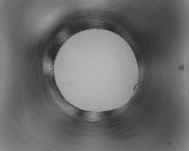 X0000112110191200909151233