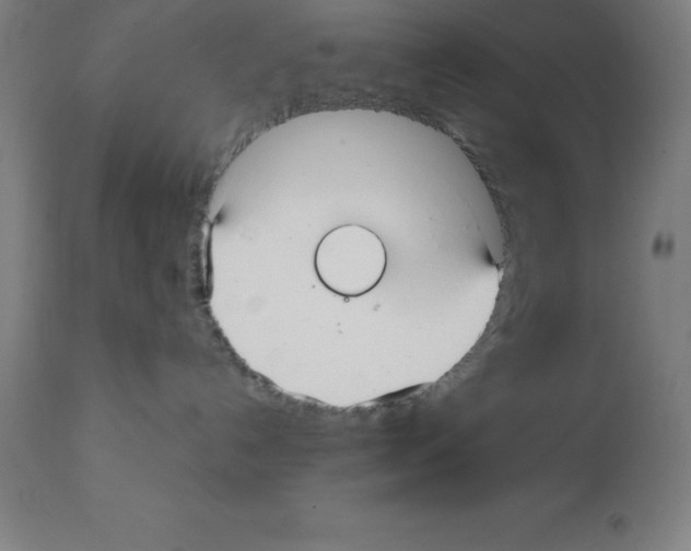 X0000112110192200909151233
