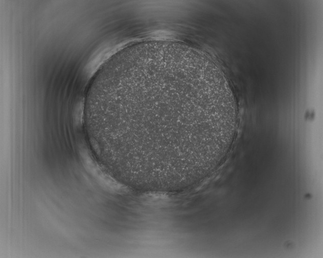 X0000112110194200909151233