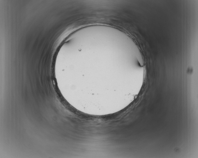 X0000112110195200909151233