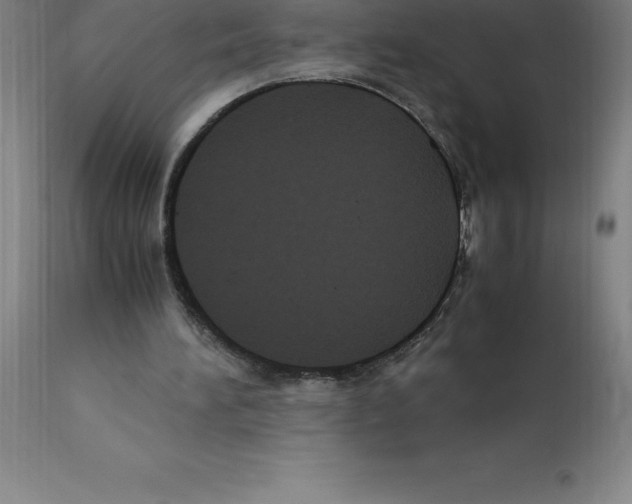X0000112110196200909151233