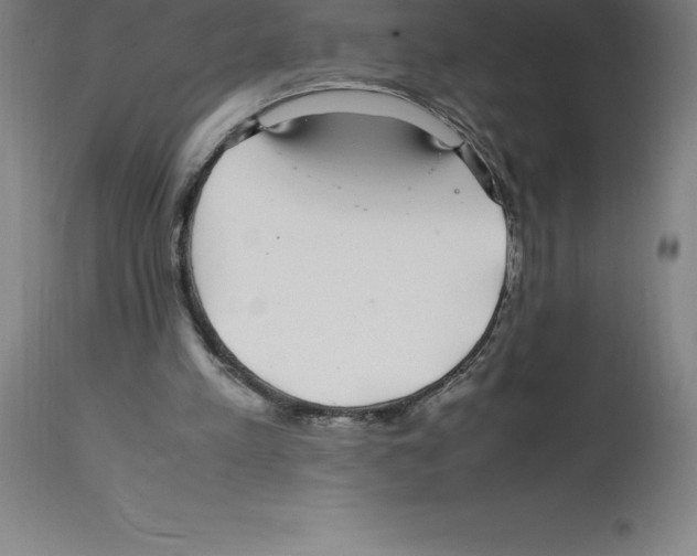 X0000112110197200909151233