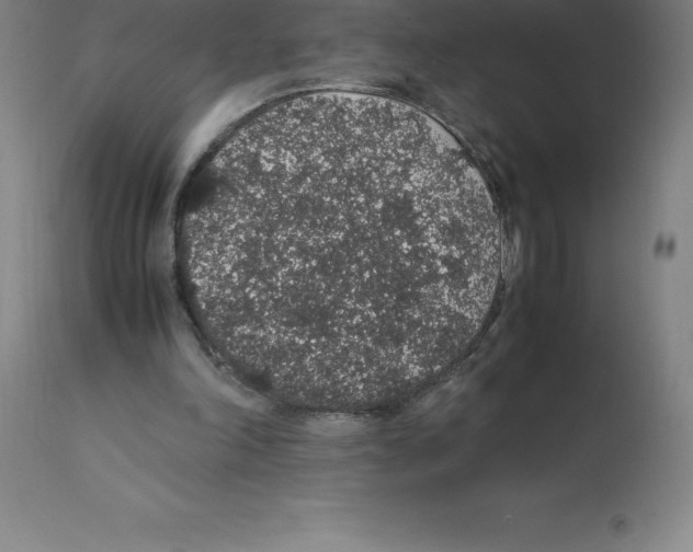 X0000112110198200909151233