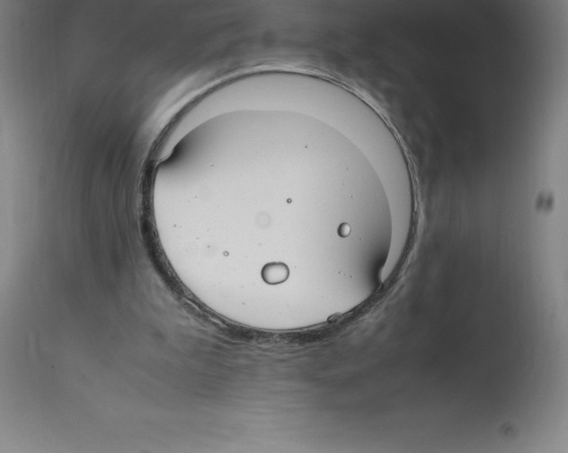 X0000112110199200909151232