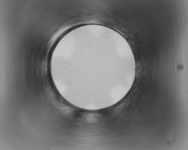 X0000112110200200909151232