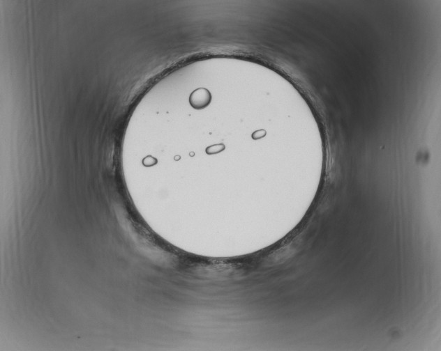 X0000112110201200909151232