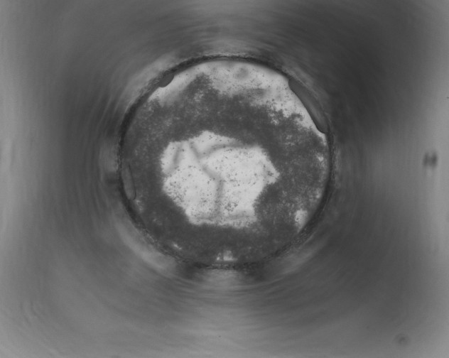 X0000112110203200909151232