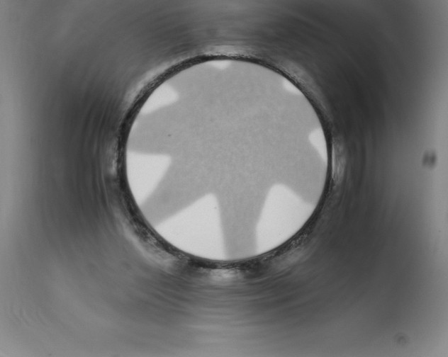 X0000112110204200909151232