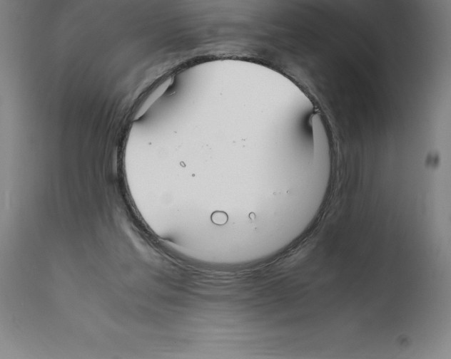 X0000112110205200909151232
