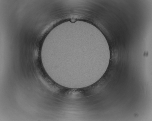 X0000112110208200909151232