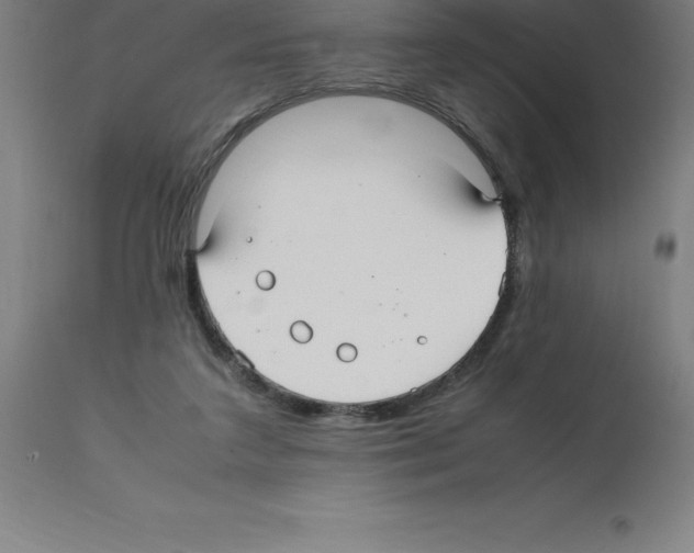 X0000112110211200909151232
