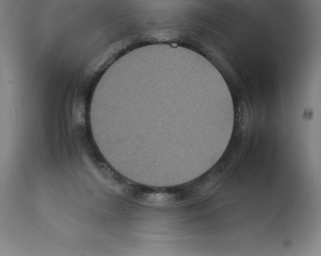 X0000112110212200909151232