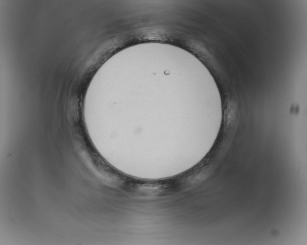 X0000112110213200909151232