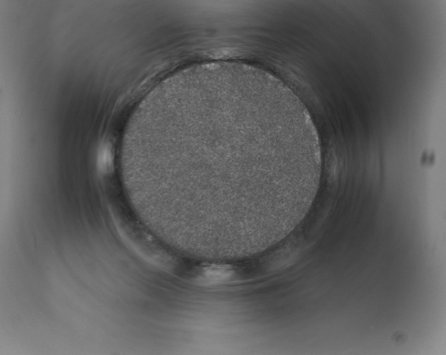 X0000112110214200909151232