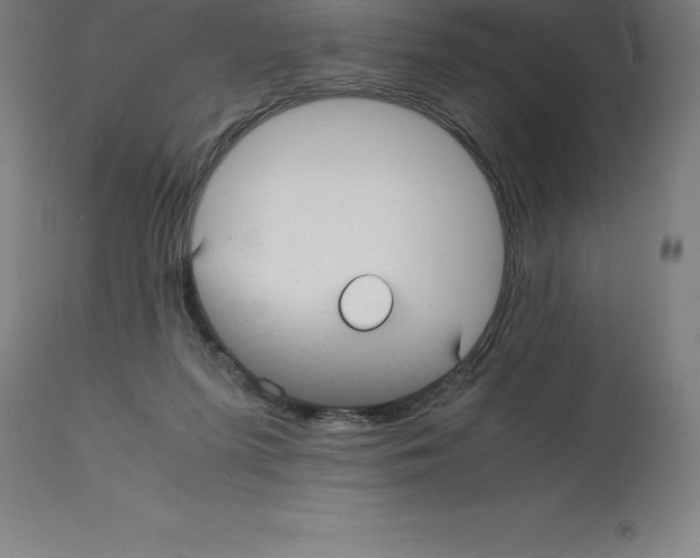 X0000112110215200909151232