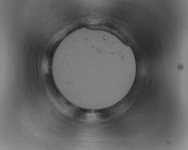 X0000112110216200909151232