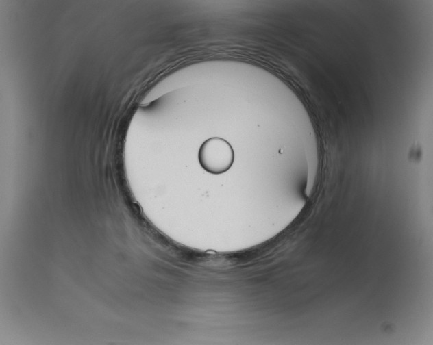 X0000112110217200909151232