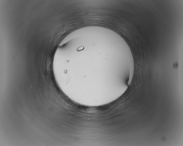 X0000112110219200909151232