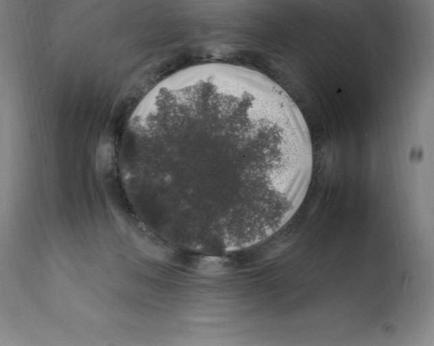 X0000112110222200909151232