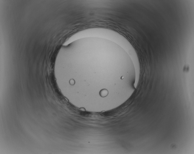 X0000112110223200909151232