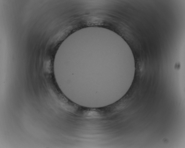 X0000112110224200909151232