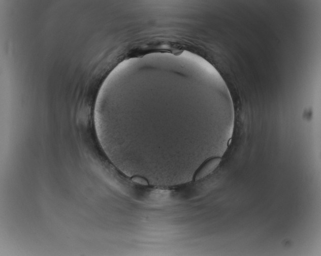 X0000112110227200909151232