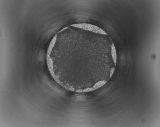 X0000112110228200909151232
