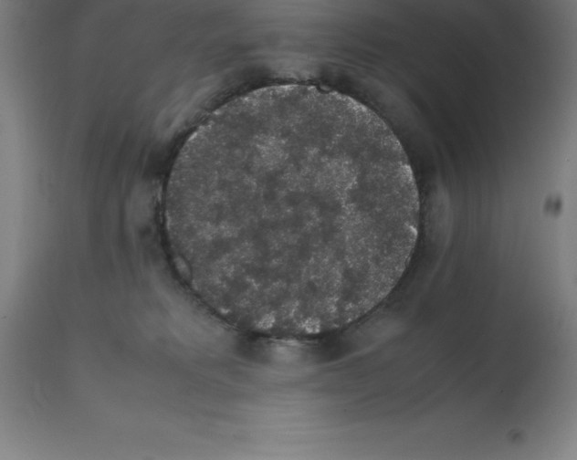 X0000112110229200909151232