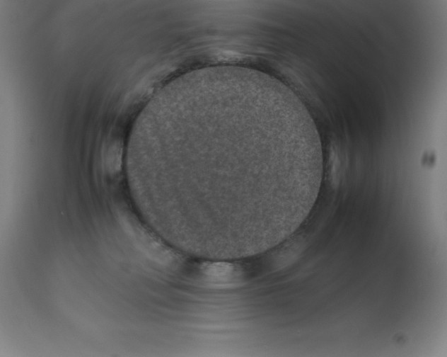 X0000112110230200909151232