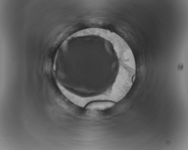X0000112110231200909151232