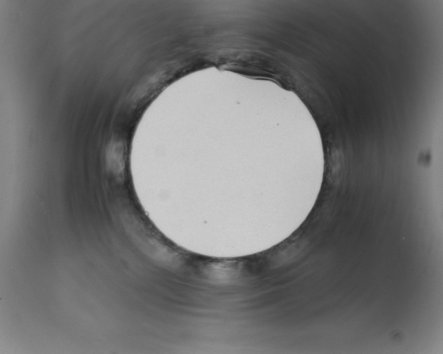 X0000112110232200909151232