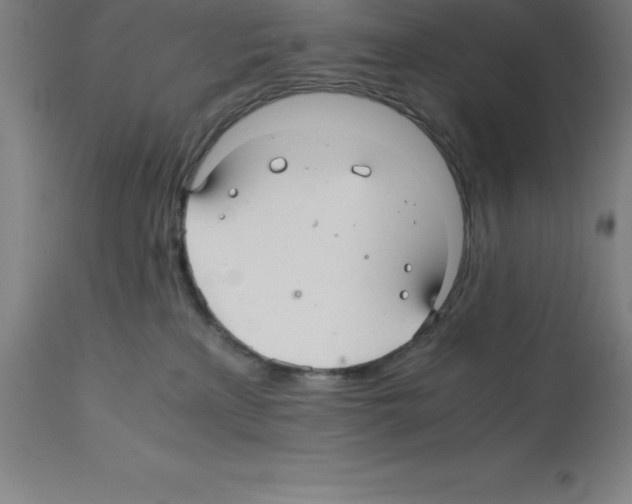X0000112110233200909151232