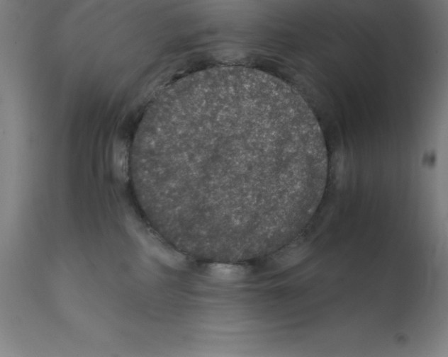 X0000112110234200909151232