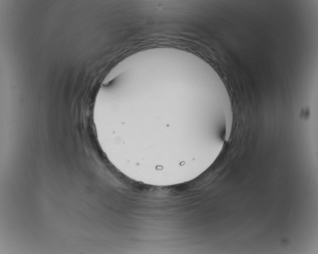 X0000112110235200909151232