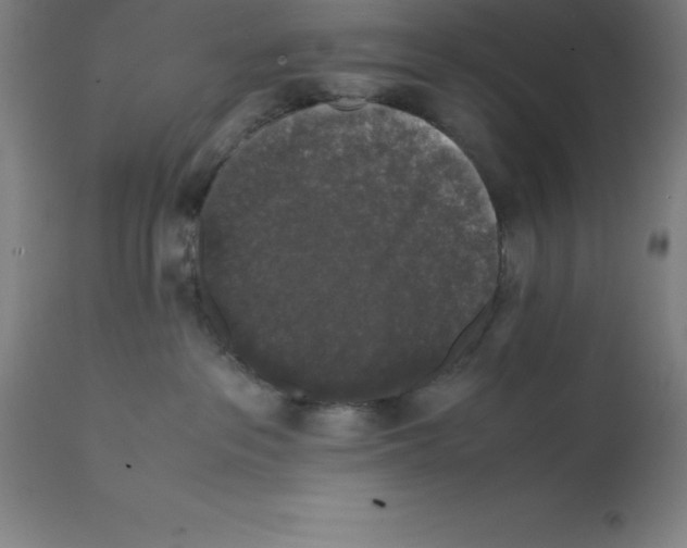 X0000112110237200909151232