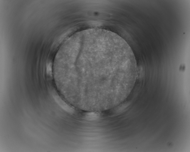 X0000112110238200909151232