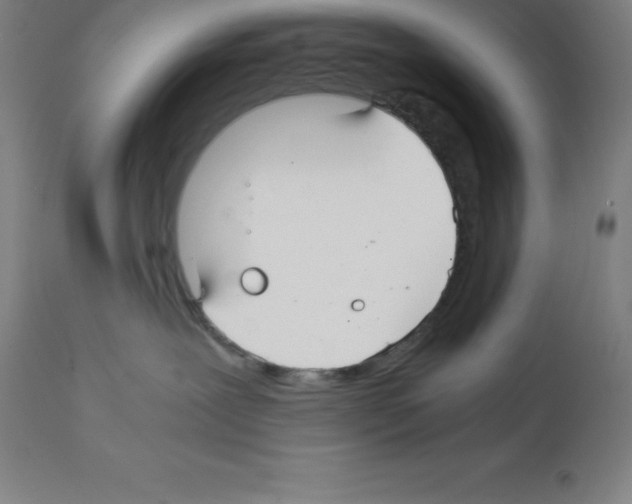 X0000112110239200909151232