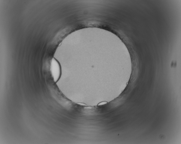X0000112110240200909151232