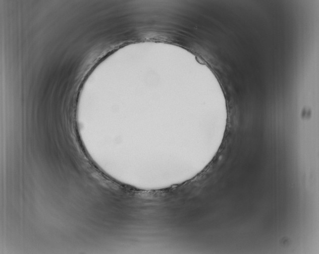 X0000112110241200909151231