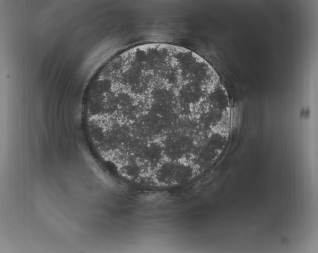X0000112110243200909151231