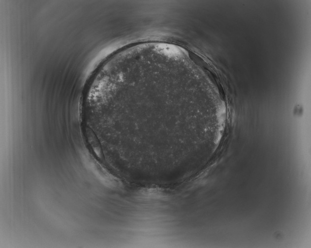 X0000112110244200909151231
