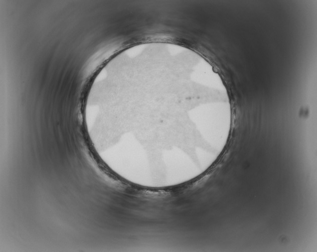 X0000112110245200909151231