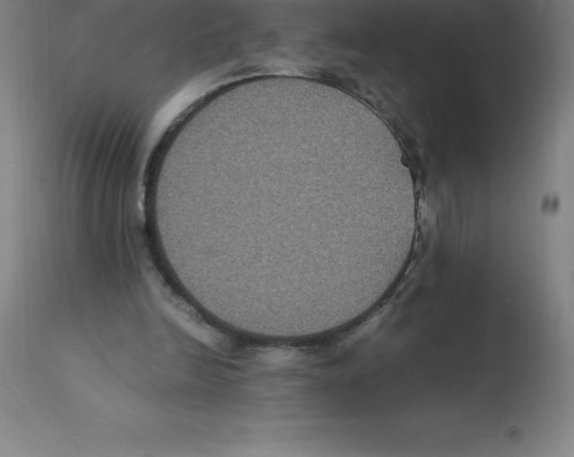 X0000112110246200909151231